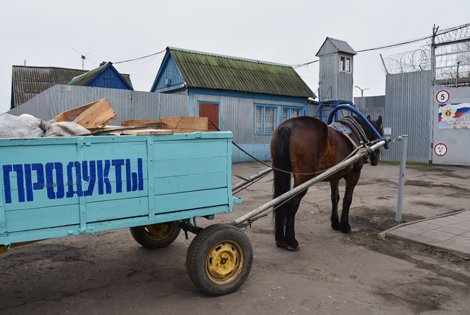 В исправительной колонии №1 (ИК-1) — «Единичка» — в мордовском поселке Сосновка есть блок пожизненного лишения свободы (ПЛС). Здесь содержат 165 заключенных, жертвами которых стали 603 человека. От остальной зоны его отделяет высокий забор с колючей проволокой.
Другая мордовская колония для пожизненно осужденных находится в поселке Торбеево. Это исправительная колония №6 (ИК-6), или «Торбеевский централ». В ней содержатся 134 осужденных, на счету которых 658 убийств.