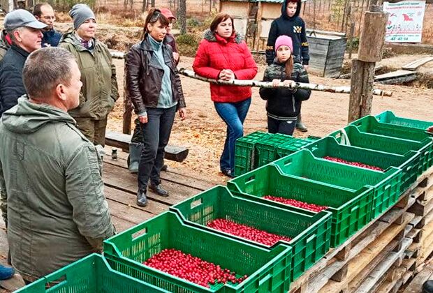 А то, что собрали во время соревнования на скорость, можно забрать домой