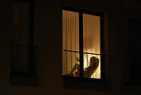 В даркнете сидят сотни тысяч россиян. Что они ищут на теневых ресурсах? И правда ли, что там можно найти все, что угодно?