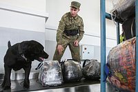 Кокаиновый ром, подставные дельфины и дроны с драгоценностями. Как контрабандисты переправляют товар через границу России
